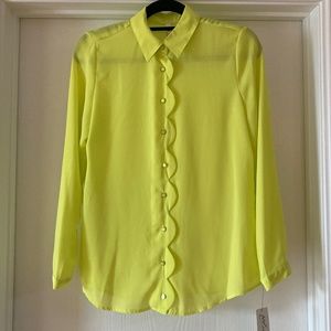 NY Collection Sheer Blouse Long Sleeve